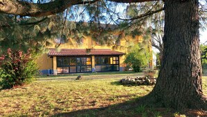 Un bâtiment doté d’un toit recouvert de tuiles, de grandes fenêtres et d’une pelouse devant.