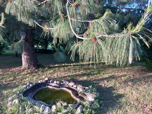 Property grounds - Large house in the countryside, relax a few miles from highways.Large garden (Voghera)