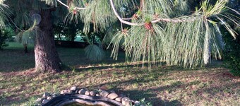 Large house in the countryside, relax a few miles from highways.Large garden