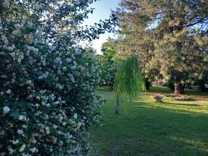 Property grounds - Large house in the countryside, relax a few miles from highways.Large garden (Voghera)