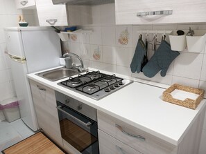 Fridge, oven, stovetop, electric kettle