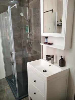 Shower, hair dryer, bidet, towels