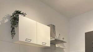A modern kitchen with a built-in washer, a coffee maker, and a plant on the wall.