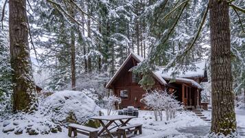 A cabin surrounded by snow-covered trees.