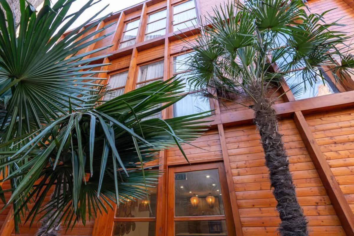 Utsikt mot trädgården