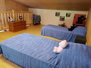 1 chambre, fer et planche à repasser, Wi-Fi, draps fournis