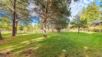 Condo, 1 Bedroom | Property grounds