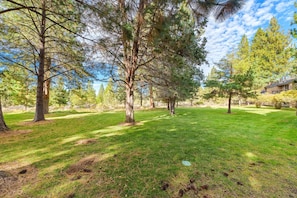 Condo, 1 Bedroom | Property grounds