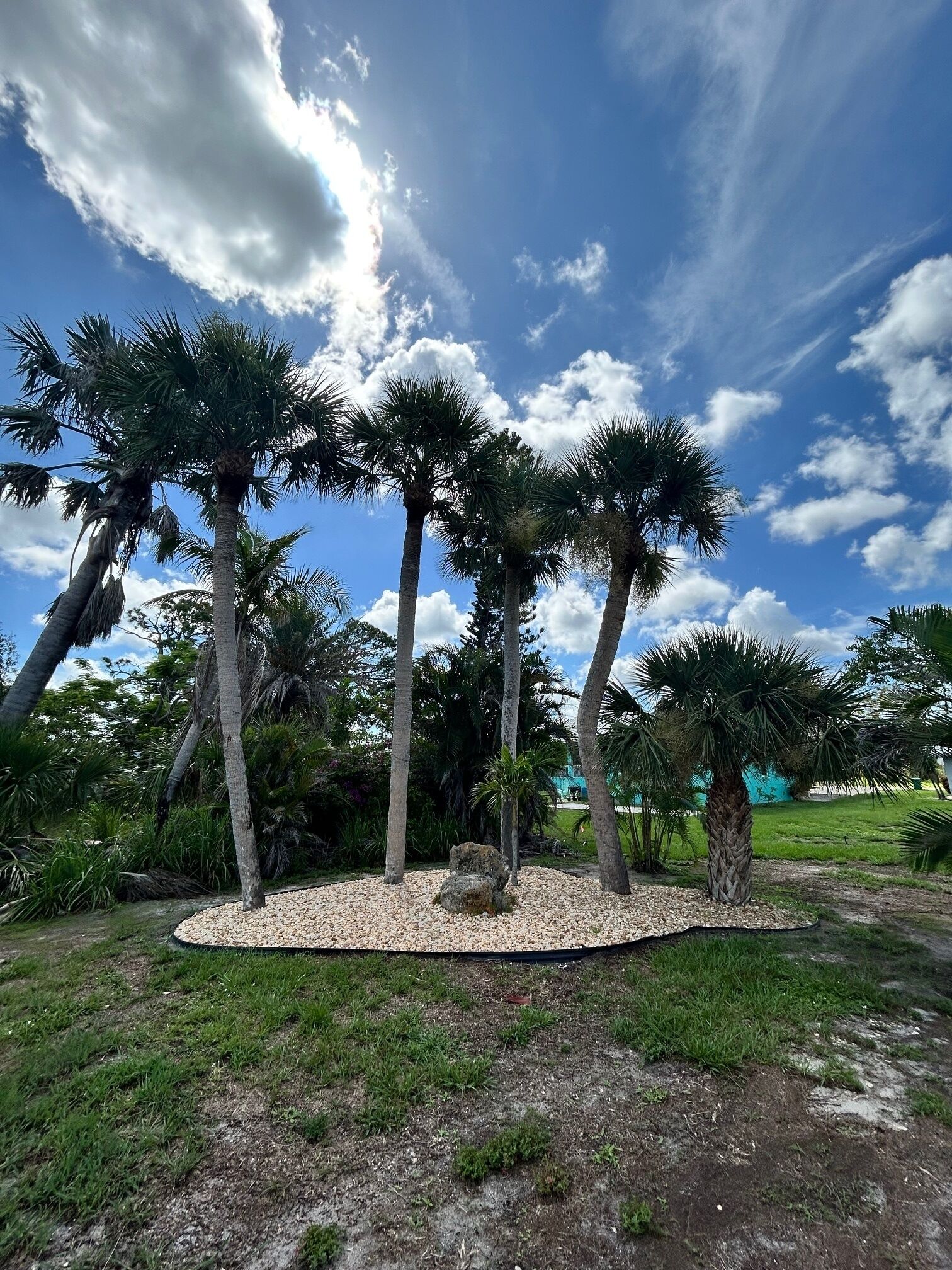 A landscaped garden with palm trees and a circular gravel area.