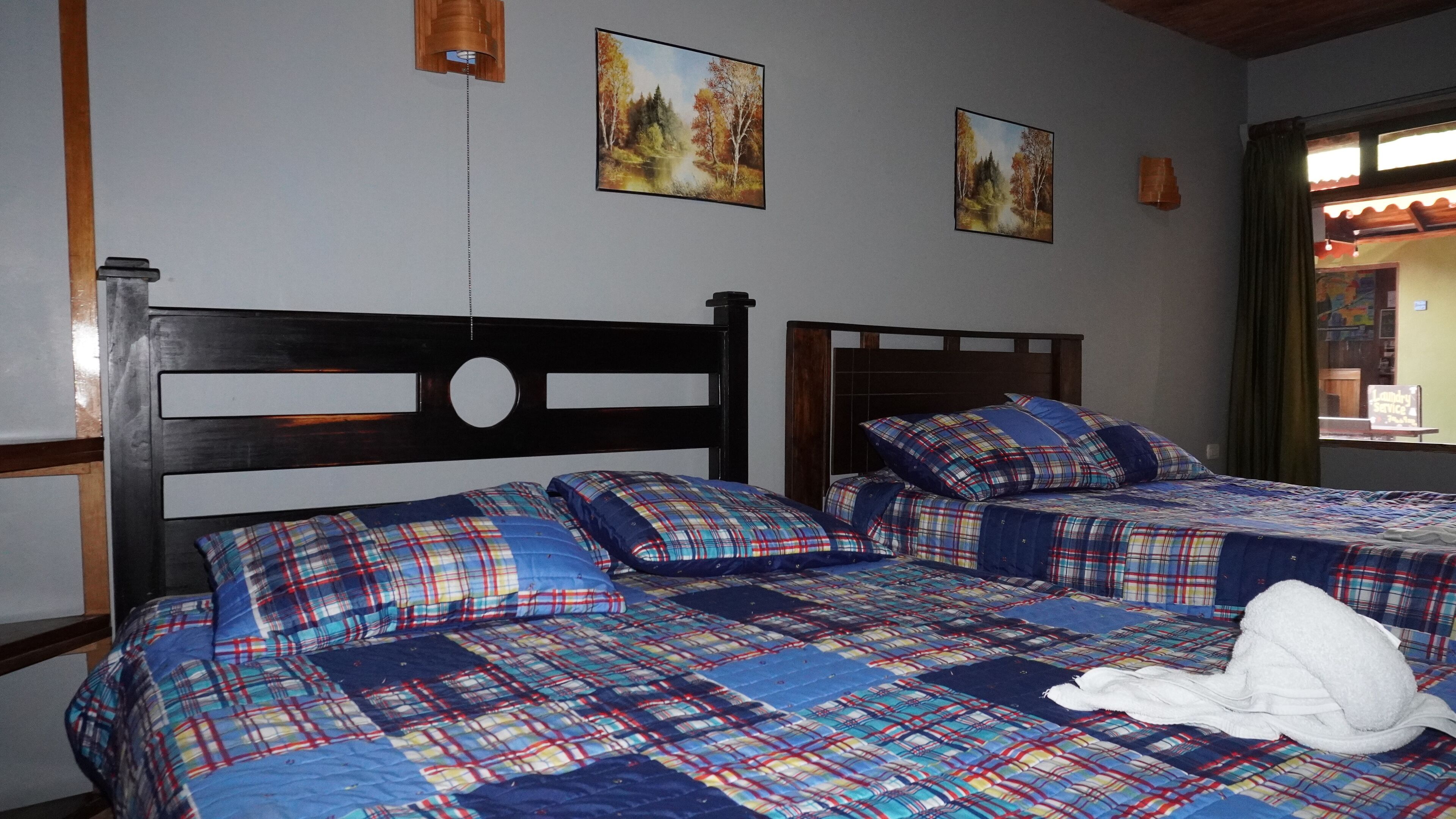 Foto - Manakin Lodge Monteverde