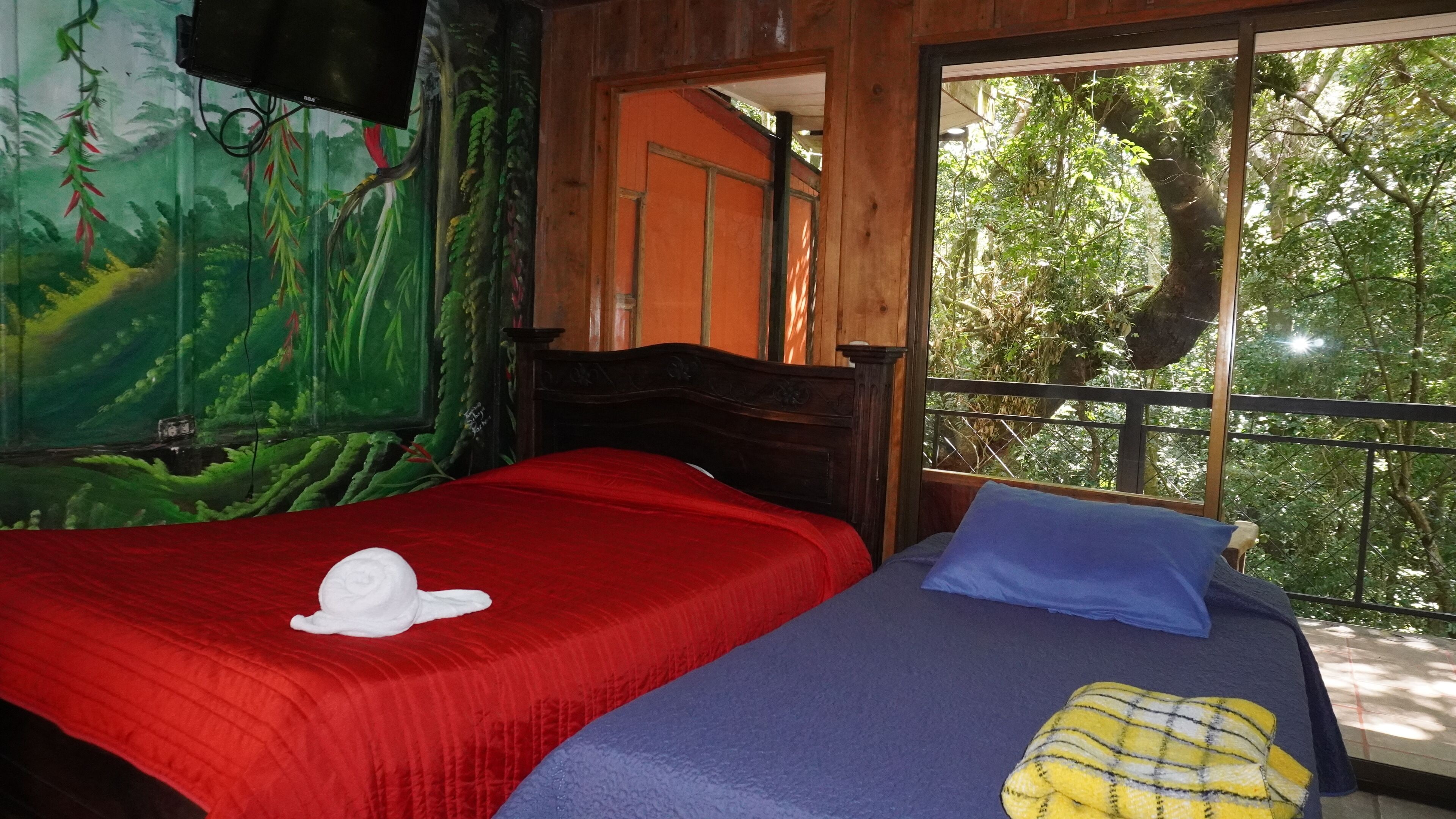 Foto - Manakin Lodge Monteverde