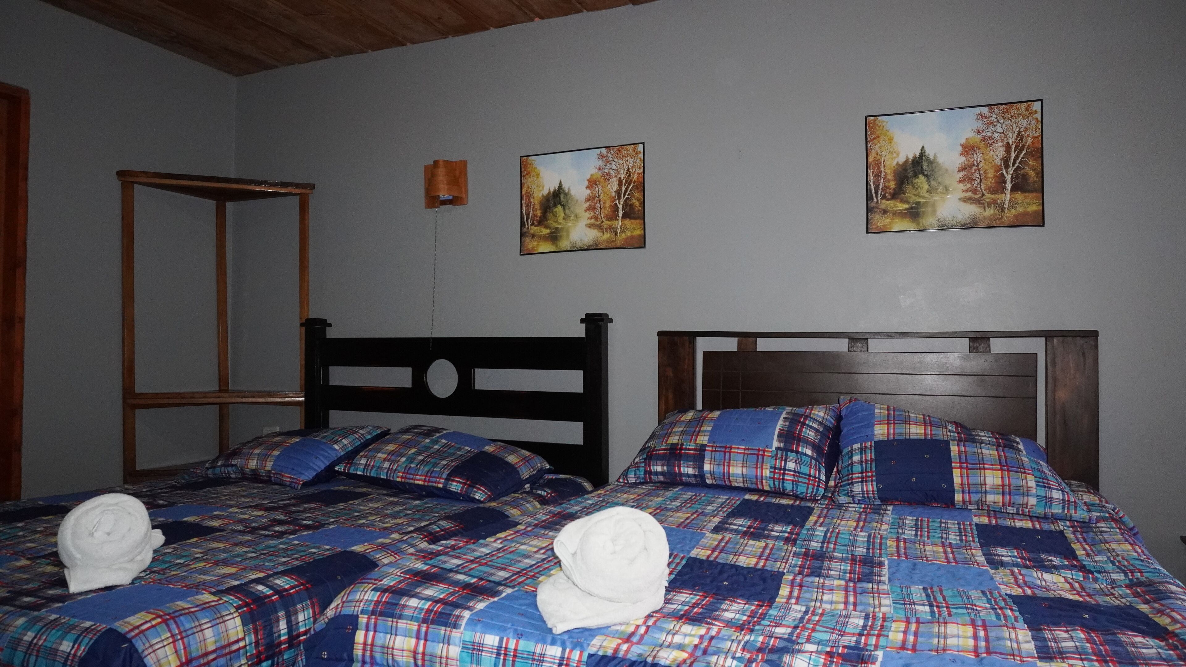 Foto - Manakin Lodge Monteverde
