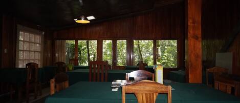 A room with wooden walls, large windows, and a bed with a green bedspread.