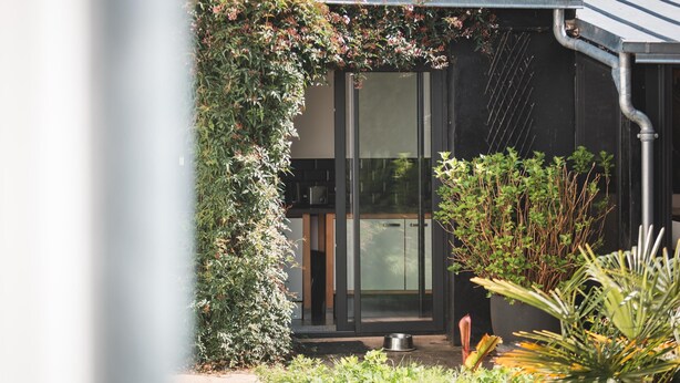 Un edificio moderno con entrada de puerta de cristal, rodeado de abundante follaje y techo de metal.