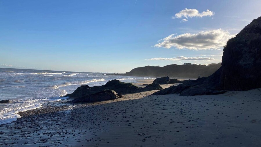 Peaceful Garden Studio Near Gorey Sleeps 4 Parking