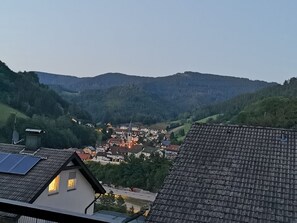 Property grounds - 1-room apartment 'Hilde' with balcony and Wi-Fi (Bad Peterstal-Griesbach)