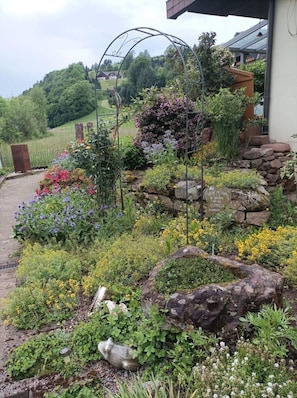 Ein Garten mit verschiedenen Pflanzen und Blumen, einem Metallbogen und einer Steinmauer.
