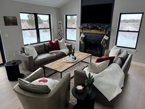 Smart TV, fireplace, books