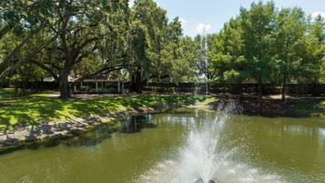 Terrein van de accommodatie