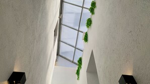 A modern interior with a skylight, green plants, and two wall-mounted lights.