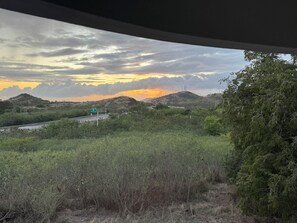 A landscape view with a road, greenery, and a sunset.