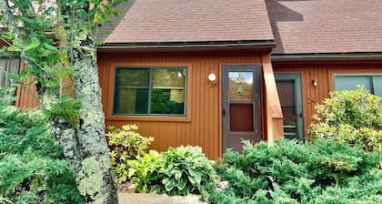 Convenient & comfy condo in Davis