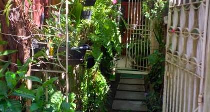 House close to everything. Place of peace