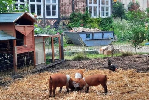 Rote Wohnung auf dem Gutshof