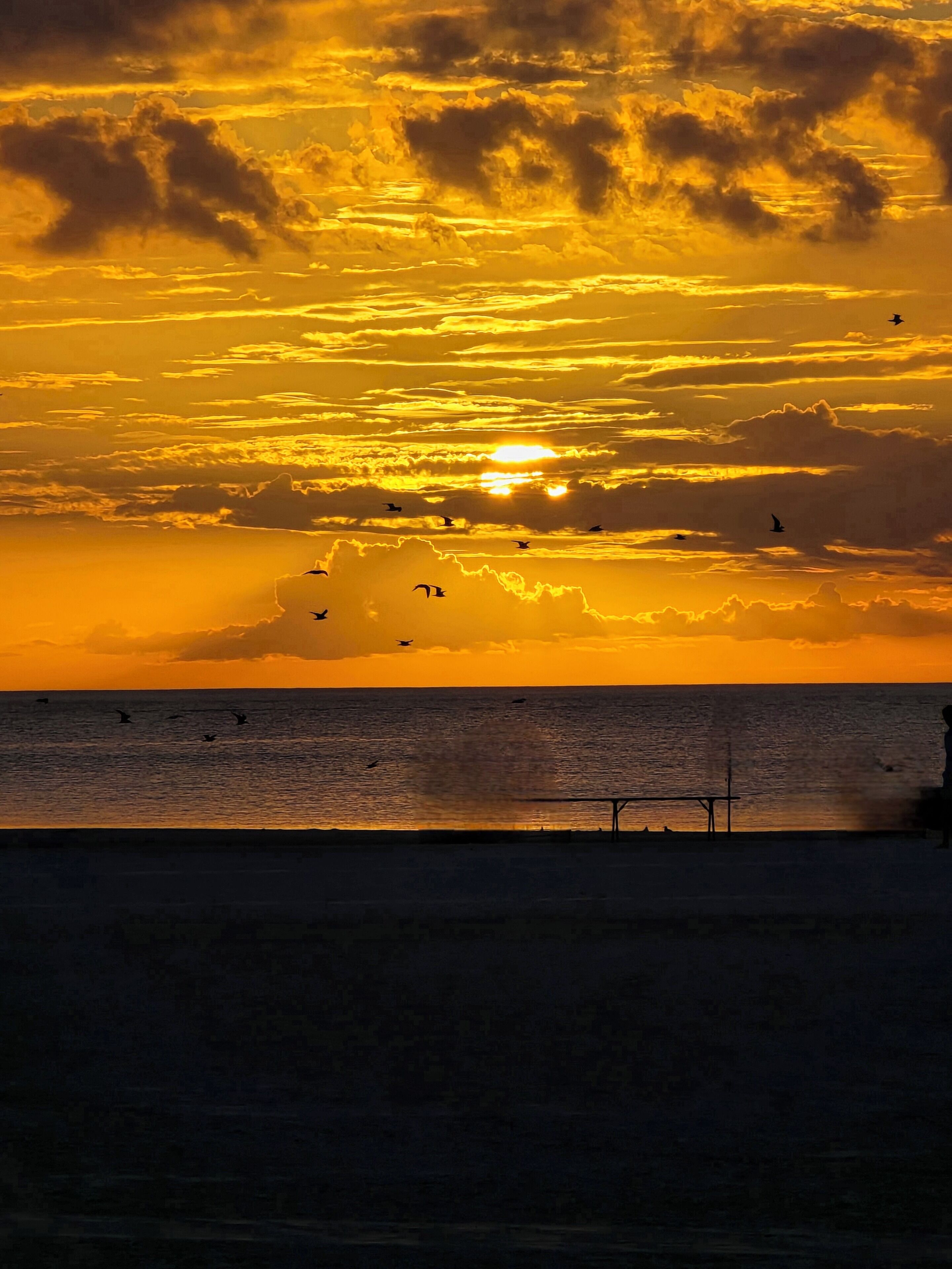 Solnedgang over havet med flyvende fugle, en mole og en silhuet af en person.