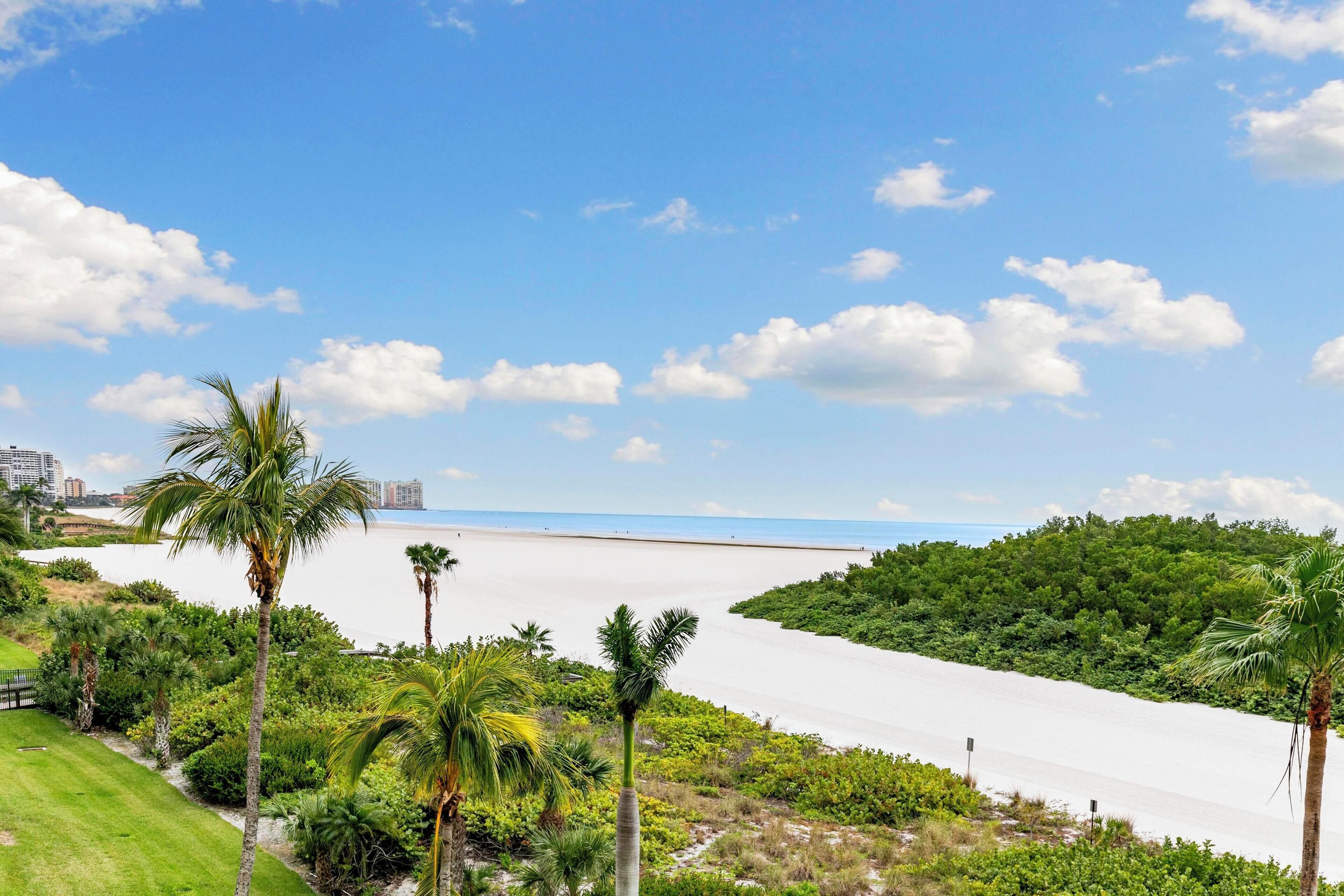 Una playa con palmeras y cielo despejado.