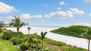 A beach with palm trees and a clear sky.