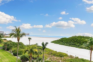 On the beach