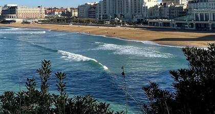 Beautifully located for a vacation in Biarritz. Studio facing the Grande Plage