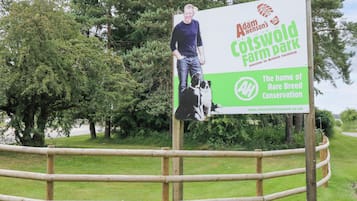 Àrea exterior de l'allotjament