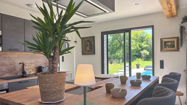 A modern kitchen with a large island, a potted plant, and a dining area with chairs and bowls.