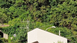 Een stenen muur voor een herenhuis met balkon en een palmboom.
