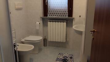 Hair dryer, bidet, towels, toilet paper