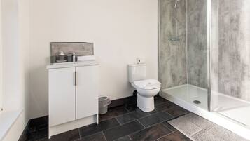 Apartment, 3 Bedrooms | Bathroom | Free toiletries, hair dryer, towels, soap