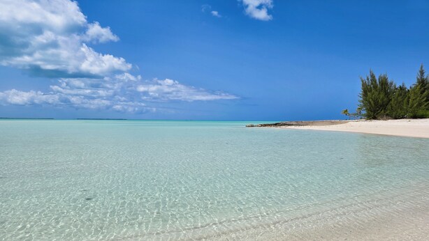 A clear turquoise sea, a sandy beach, and a line of trees under a blue sky.