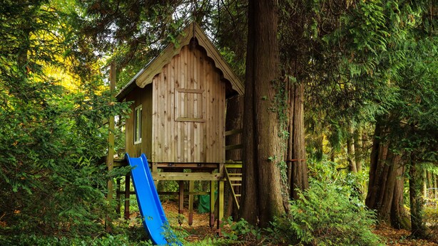 A wooden playhouse with a blue slide in a forested area. - Charming 1-bedroom cottage in Rathdrum with WiFi (Rathdrum)
