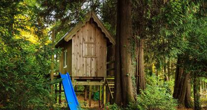 Charming 1-bedroom cottage in Rathdrum with WiFi