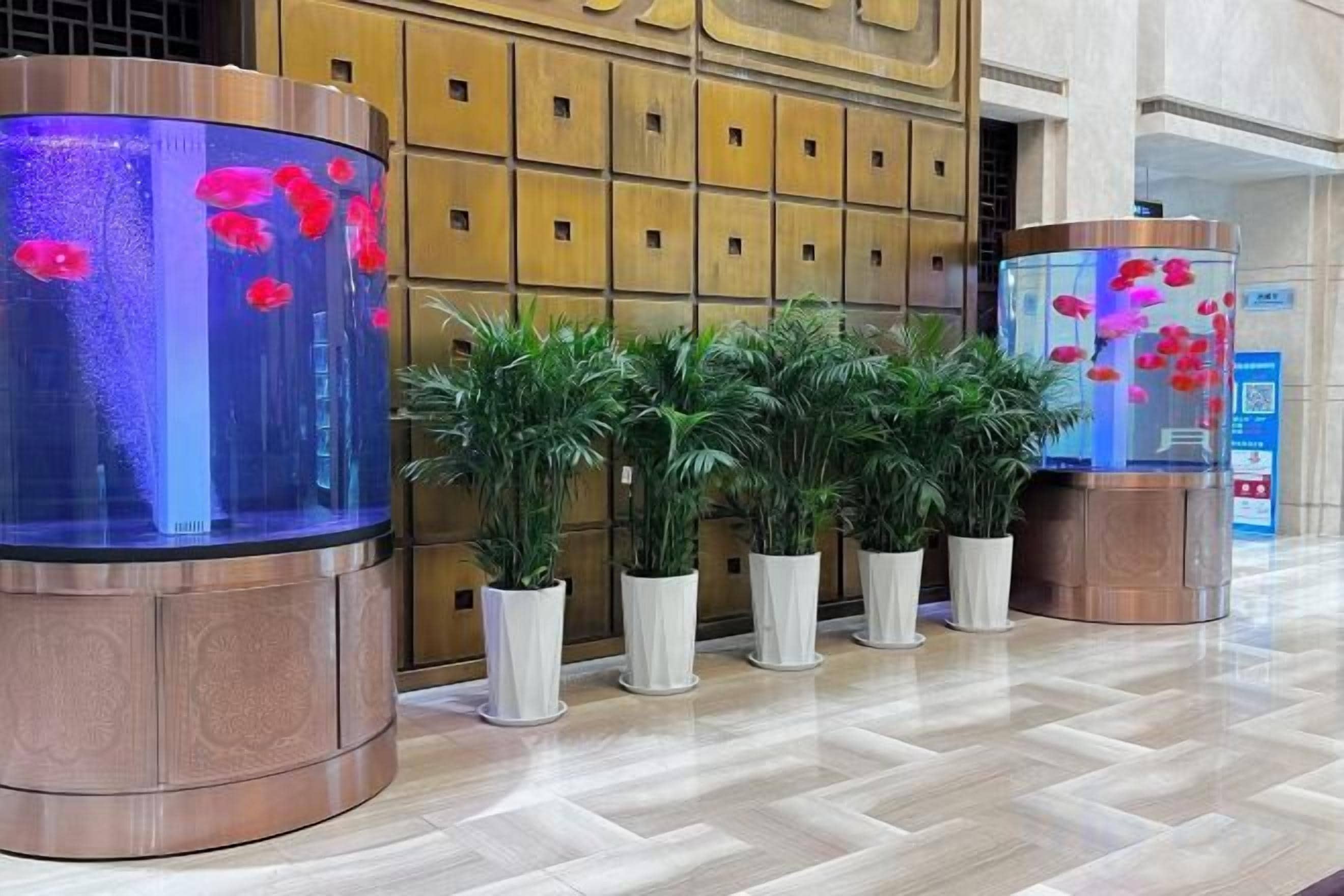 Zona de recepción con un gran acuario, plantas en macetas y una pared de madera con diseño de cuadrícula.