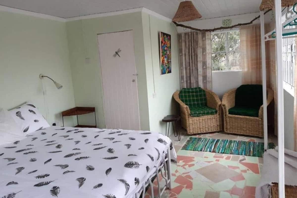 Executive Double Room, Garden View | Free WiFi, bed sheets