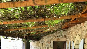 An outdoor seating area with wicker furniture, stone walls, and a pergola with greenery.