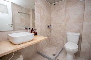 Shower, hair dryer, towels, toilet paper