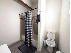 Eco-friendly toiletries, hair dryer, towels, soap