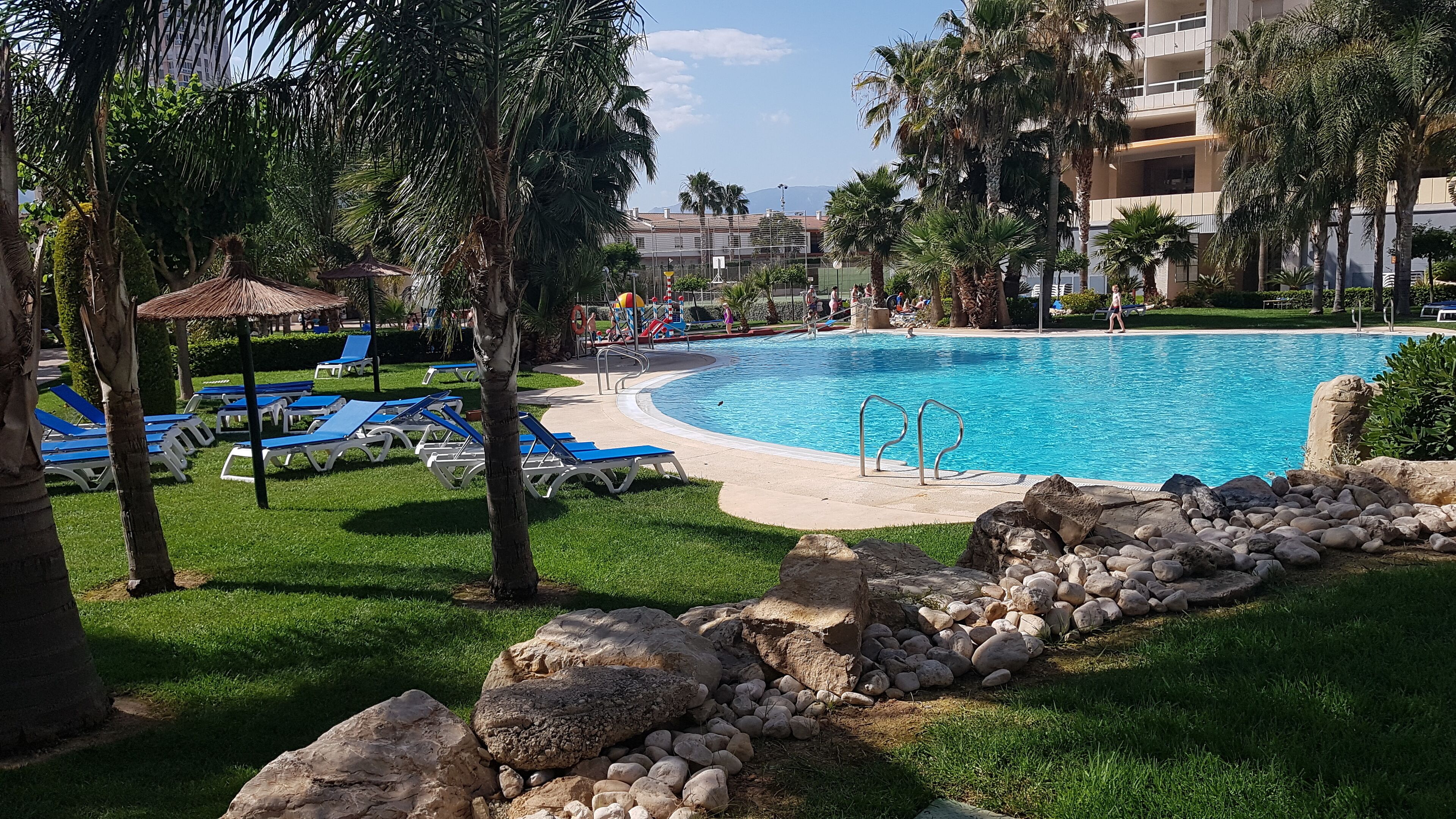 Piscina rodeada de sillas de descanso y palmeras, con un borde rocoso y un edificio al fondo.