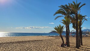 A sandy beach with palm trees and a clear blue sky. - Siroco-Gemelos 22 (Benidorm)