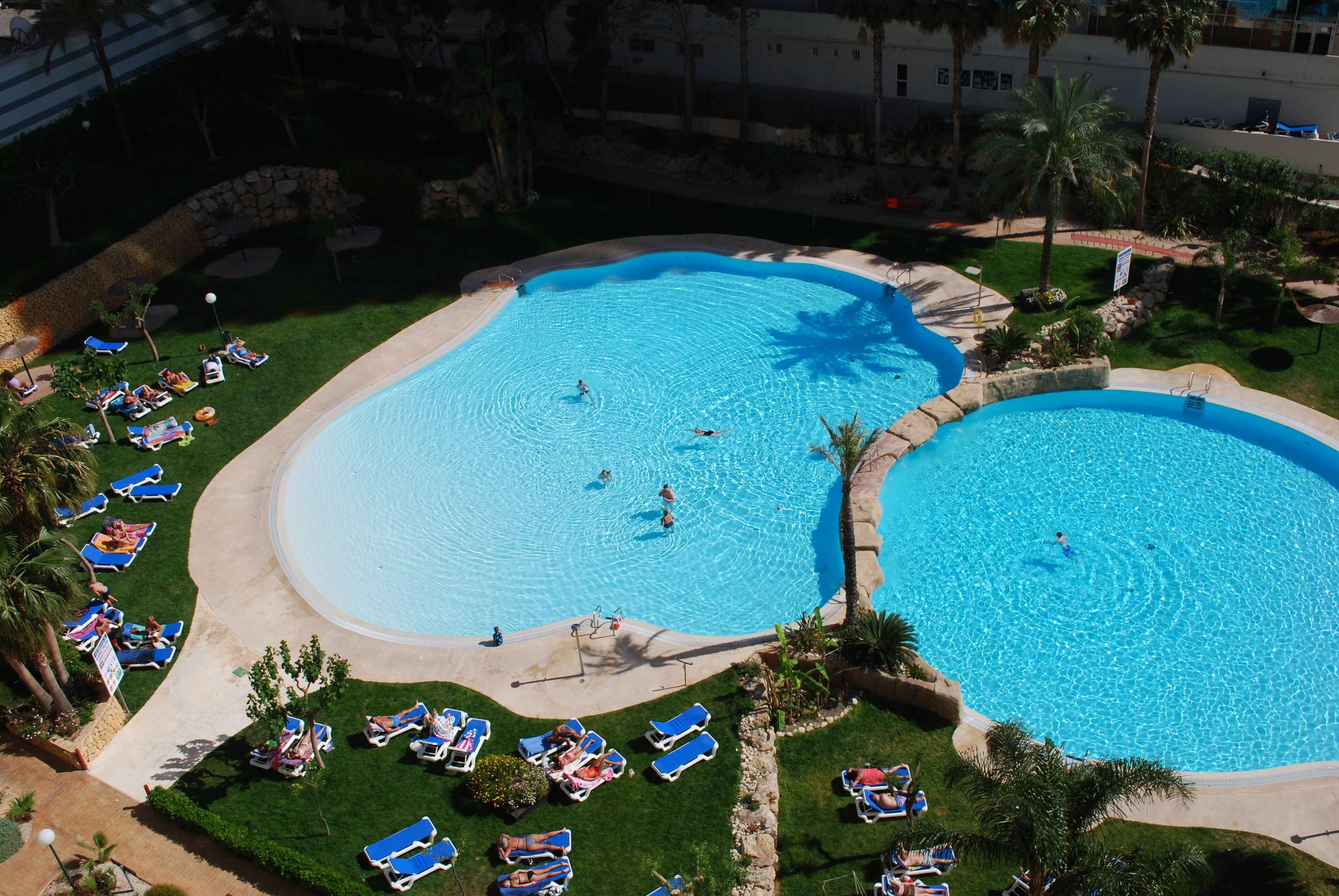 A large outdoor swimming pool with multiple lanes, surrounded by sun loungers and palm trees.