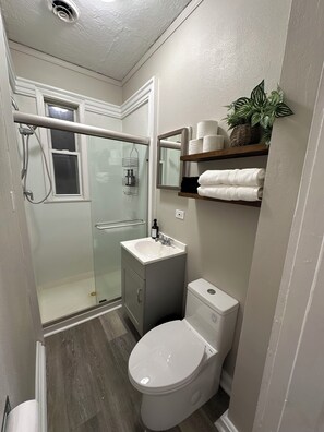 Hair dryer, towels, soap, toilet paper